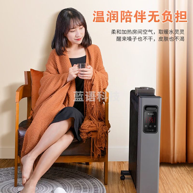 格力 NDY22-X6022B 智能WIFI控制2200W 取暖器家用13片电暖器电暖气