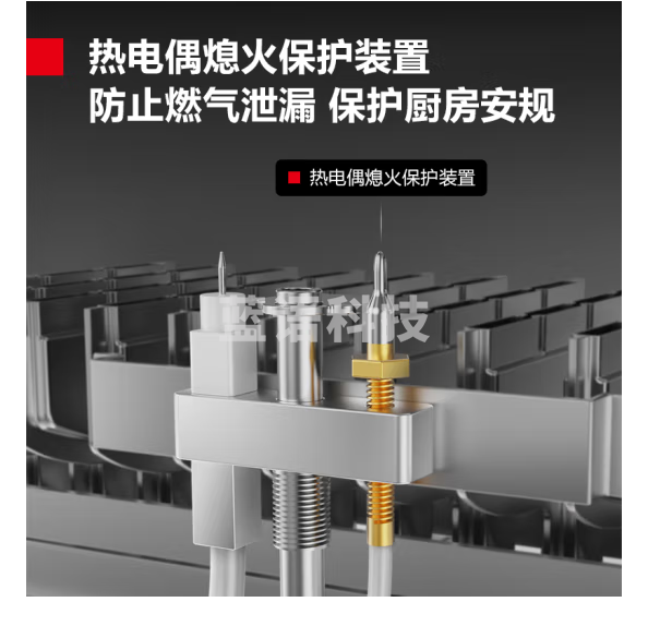 德玛仕（DEMASHI）燃气蒸饭柜蒸饭车蒸箱商用蒸饭箱蒸饭机食堂单位学校安全防干烧蒸柜SZXT20B-120T天然气