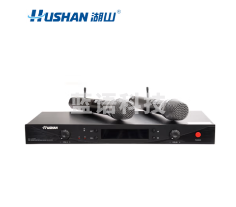 湖山（HUSHAN） 无线话筒 U段 无线麦克风专业K歌 家庭KTV演唱会议主持专业话筒 DS-U420K (一拖二）