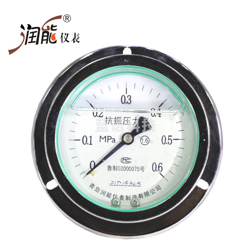 润能（RUNEG）耐震压力表YN100ZT轴向充油表水压表 抗震压力表油压表指针压力表 0-0.25MPa