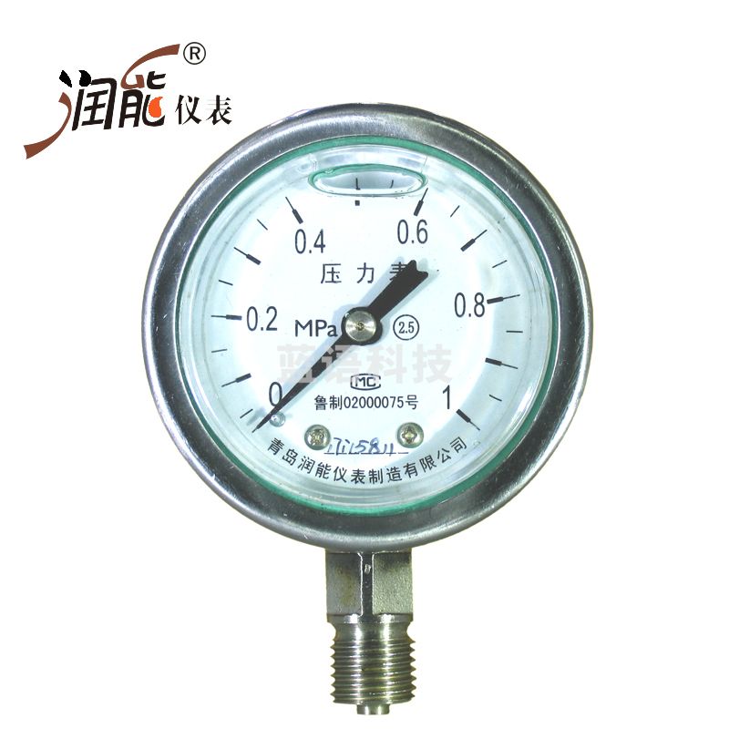 润能抗震不锈钢压力表YNBF60冲油油表水压表防腐耐高温蒸汽压力表指针压力表 0-0.25MPa