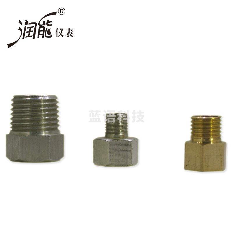 润能（RNEG）压力表接头补芯变径转换变丝（铜接头、不锈钢接头） 铜内螺纹M20*1.5-外螺纹ZG1/2（4分）
