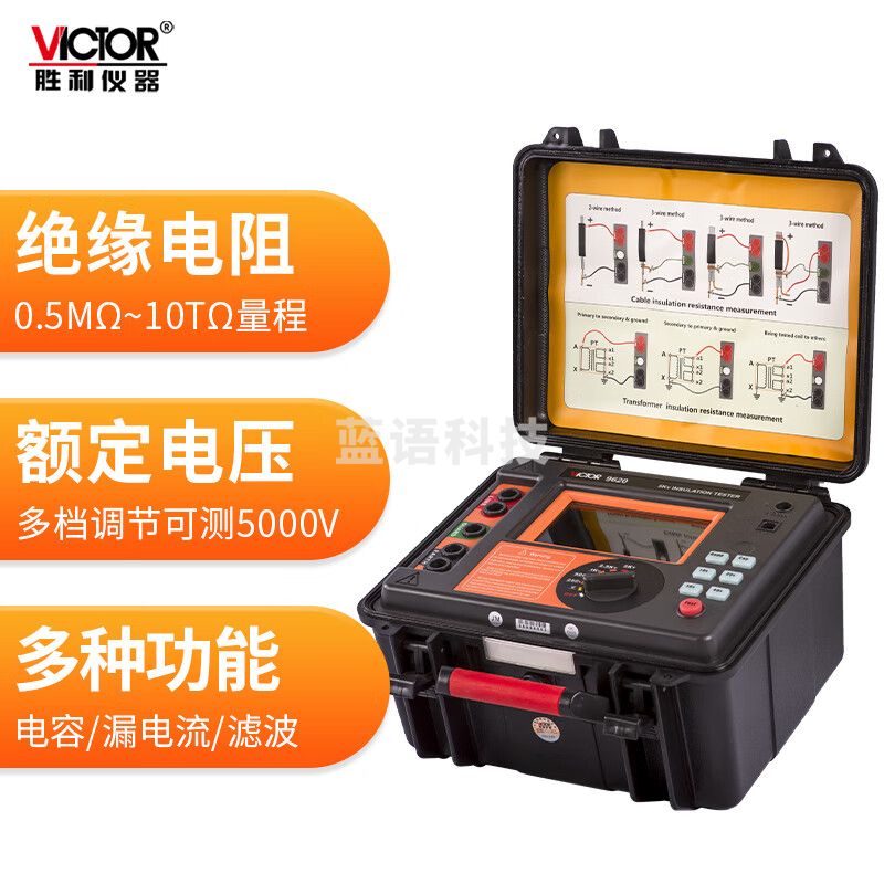 胜利仪器（VICTOR）高压绝缘电阻测试仪 漏电流电压电容测试 VC9620