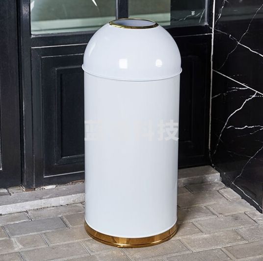 领象 不锈钢垃圾桶大号户外室外环卫立式果皮箱 子弹头垃圾桶 25L白色钛金圈