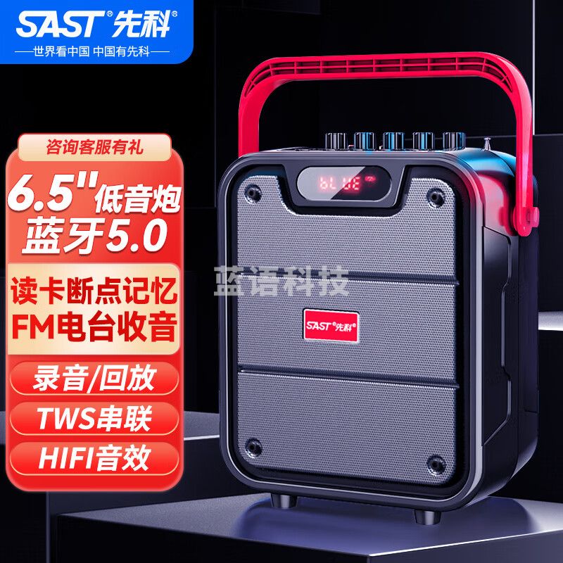 先科（SAST）ST-1506  6.5英寸户外无线蓝牙音箱小型广场舞手提便携式移动家用K歌音响不带话筒