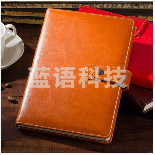 博文（bowen） A5 棕色商务皮面记事本 笔记本子加厚 116张 DS1125
