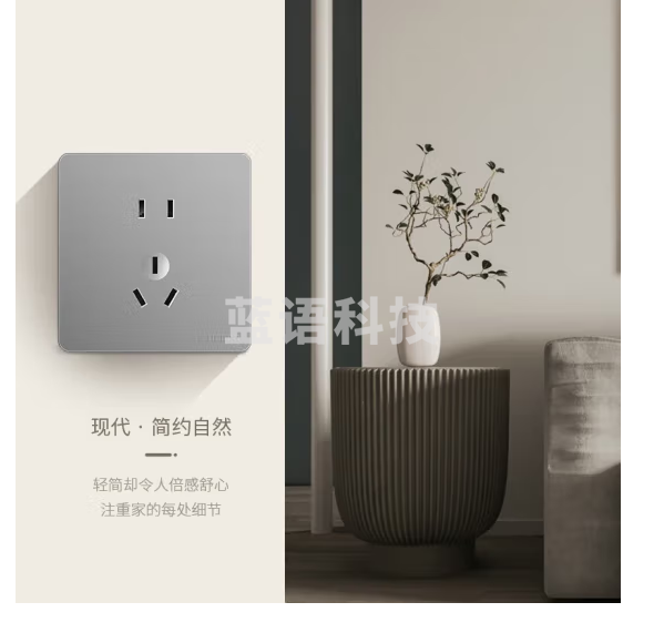 德力西（DELIXI）开关插座面板 CD821系列 10A五孔插座带一开双控开关 星辉银大板