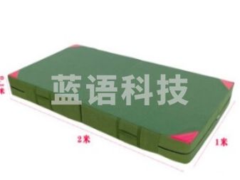 体操垫子 仰卧起坐海绵垫折叠长2m宽1m厚10cm