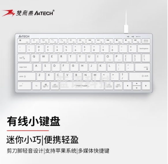 双飞燕（A4TECH）FX51 有线小键盘轻音便携短款78键 飞时代剪刀脚键盘 白色