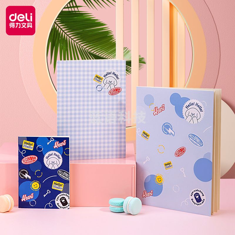 得力FTZ03-01缝线本(蓝)(包)