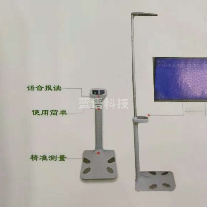 利生（LEESHENG） N306 豪华型身高计学生身高体重秤 体测试仪一型 TY.1250
