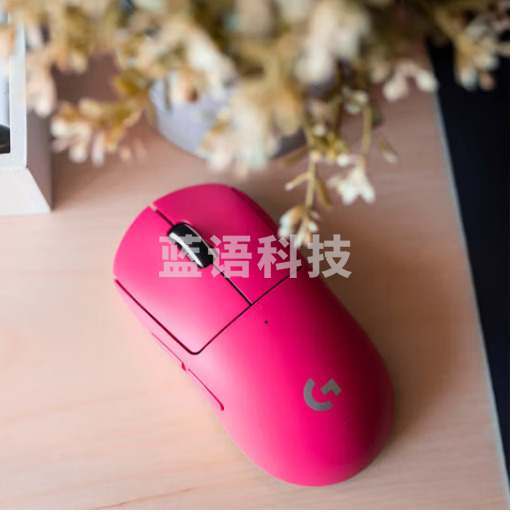 罗技（G）PRO X SUPERLIGHT gpw二代狗屁王二代 无线游戏鼠标 轻量化6 电竞鼠标 职业选手推荐 猛男粉 粉色