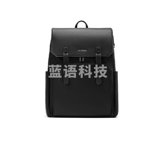 新秀丽（Samsonite）双肩电脑背包16英寸男士书包商务旅行包出差 NV0黑色