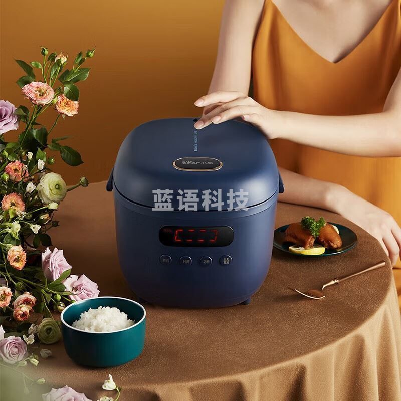 小熊（Bear）DFB-B20N2电饭煲智能家用多功能迷你小型电饭锅全自动柴火饭预约煲汤煮粥锅煮饭煲