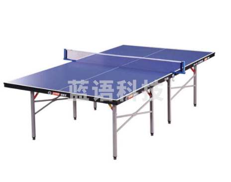 红双喜（DHS）乒乓球台家用折叠兵乓球桌子T3726（乒拍，网架，乒球）