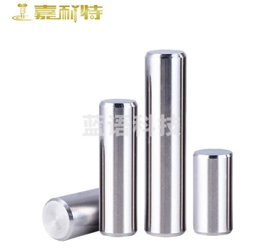 嘉耐特 304不锈钢销钉 圆柱销定位销实心平头固定销子 Φ4*10（100个）