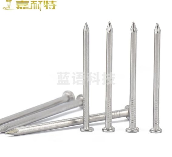 嘉耐特 304不锈钢钉子 钢钉 铁钉 洋钉 木工圆钉 水泥墙钉 混凝土钉 0.8寸21mm（500个）