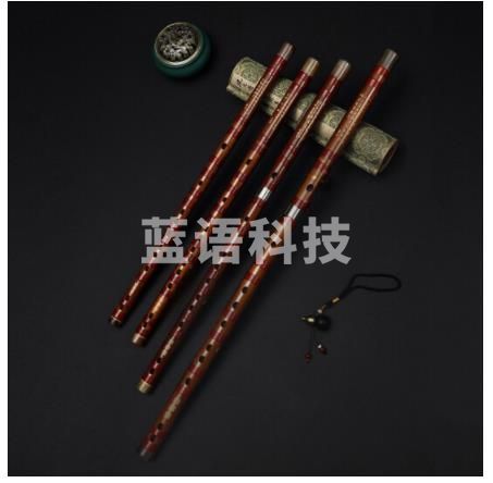 哈曼顿(HAMDUN) 笛子 单插白铜F调苦竹笛 初学专业演奏二节笛横笛