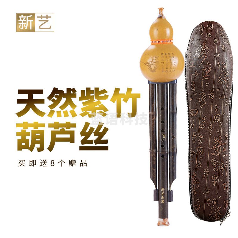 新艺(xinyi)紫竹葫芦丝乐器 专业演奏型降b调 初学双音紫竹天然葫芦