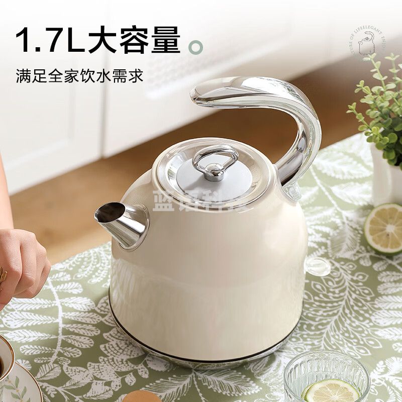 德世朗106DDQ-SH205T电热水壶+温显保温壶 烧水壶 三代复古白1.7L
