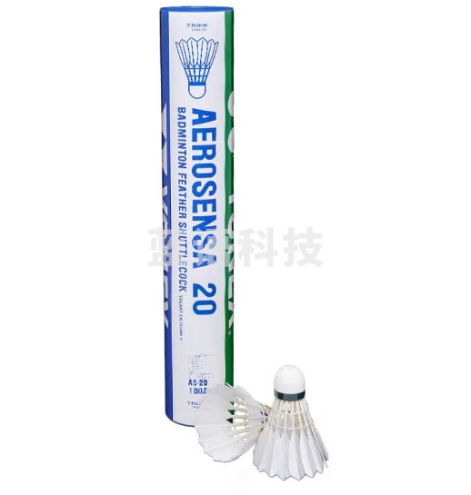 YONEX尤尼克斯羽毛球专业比赛用球AS-20耐打12只装鹅毛