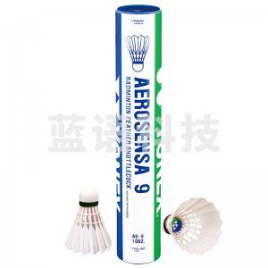 尤尼克斯 AS-9 羽毛球耐打王yy训练比赛鹅毛 12只装