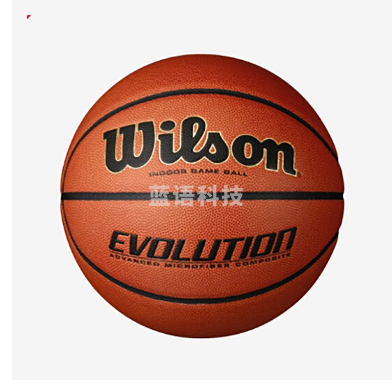 威尔胜 WTB0586IB06CN 全美高中比赛用球6号篮球(单位：个)