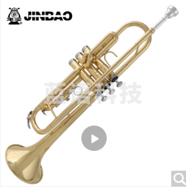 津宝 JBTR-300小号乐器降B调儿童初学学生演奏考级漆金西洋吹管乐器