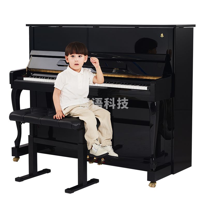 星海 钢琴 莫扎特M-100立式钢琴 黑色立式钢琴