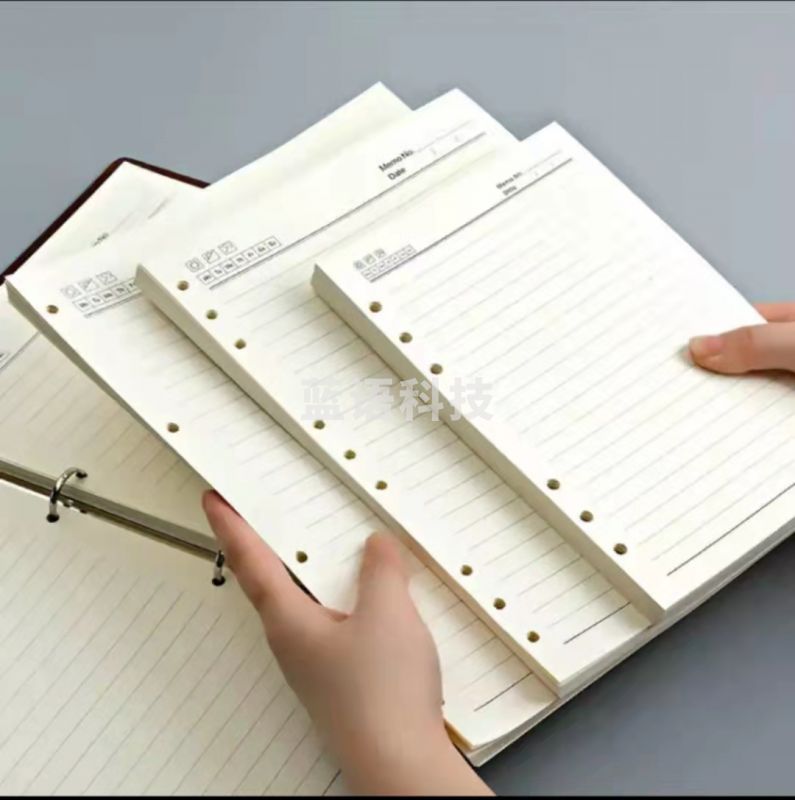 活页替芯B5 9孔（本）五本起卖