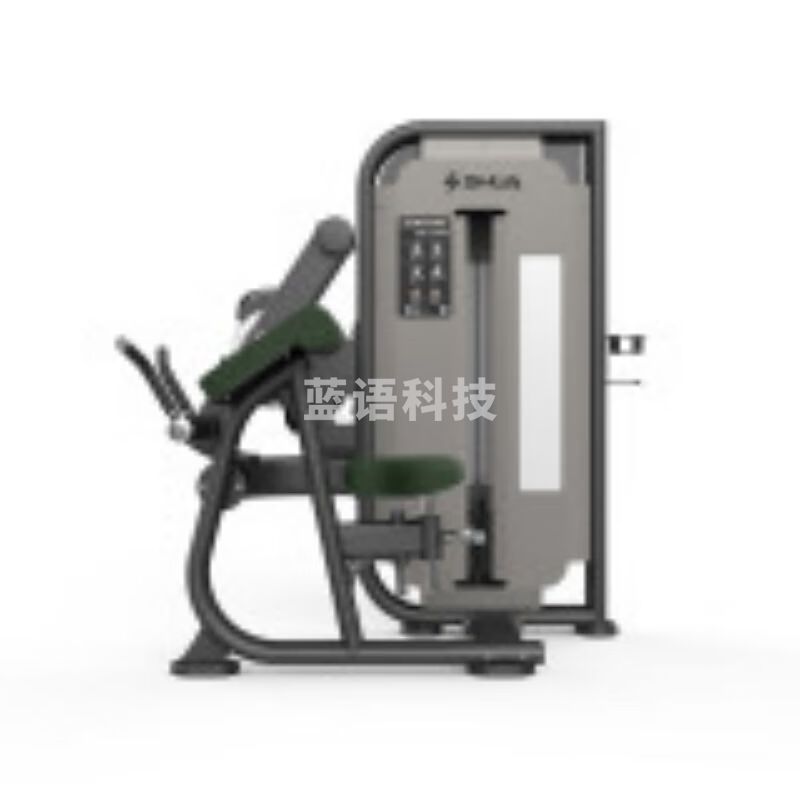 舒华(SHUA)双功能二三头训练器  SH-G6822