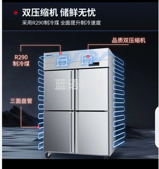 澳柯玛(AUCMA)四门冰箱商用冰柜立式冷冻柜六门冰箱大容量饭店食堂餐饮店后厨不锈钢厨房冰箱保鲜柜冷柜 标准款 双温900升