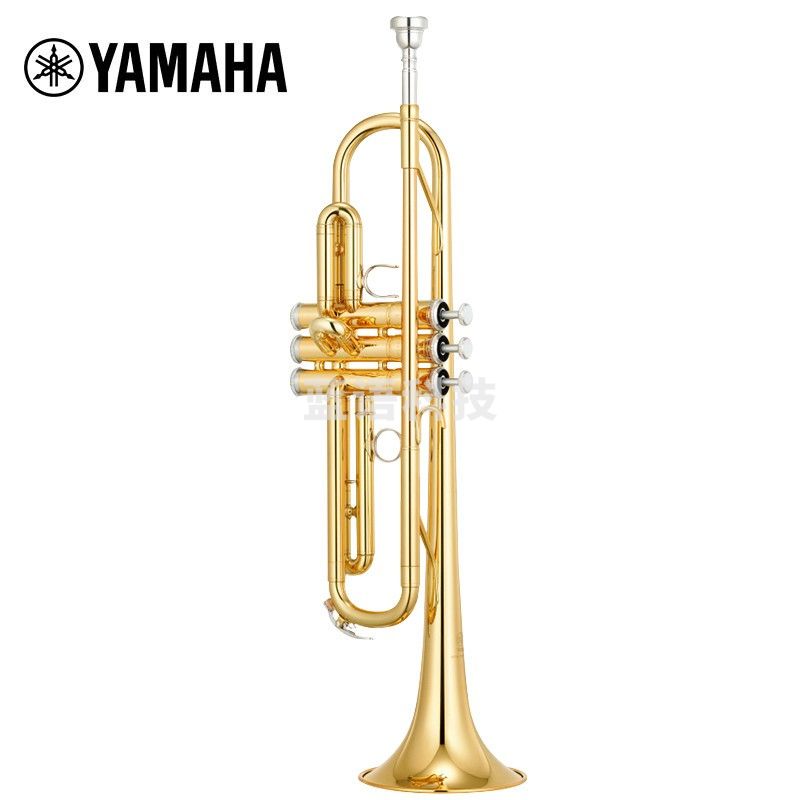 雅马哈（YAMAHA）YTR-S1 黄铜降B调小号成年儿童初学入门考级专业演奏Bb调