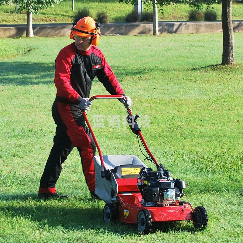 凯姿 KZ536HH    手推式除草机 割草机 草坪机