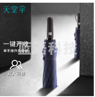 天堂 晴雨伞 10骨加固一键开收 易用干简约全自动雨伞 藏青30729