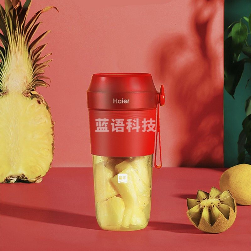 海尔 (Haier) 榨汁机LD3004F 随行杯 快速料理机搅拌机 可沏茶 便携式果汁机