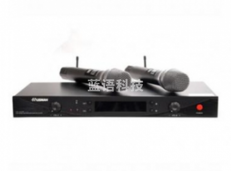 湖山DS-UT20 无线话筒 一拖二 一拖二无线传声器