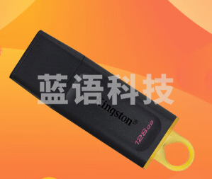 金士顿(Kingston)128GB USB3.2 Gen 1 U盘 DTX