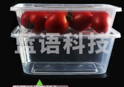 一次性餐盒 透明餐盒 规格：750ML 300套/箱