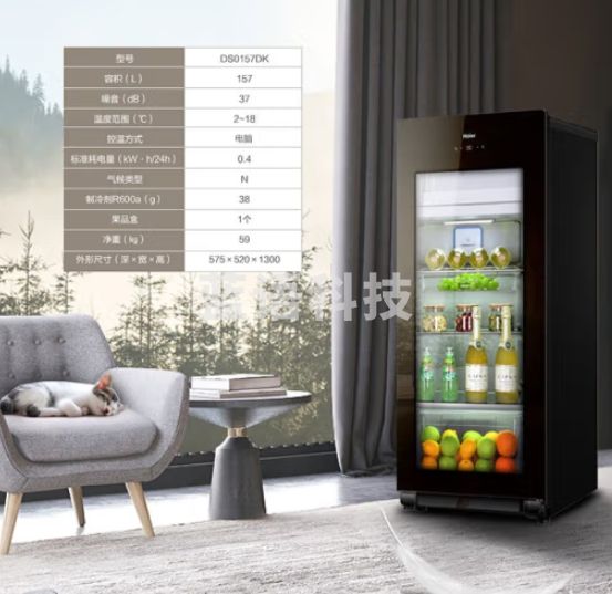 海尔（Haier）157升双温可制冰家用客厅办公室冷藏柜暖藏冰吧 茶叶饮料蔬果保鲜柜囤货冰箱DS0157DK