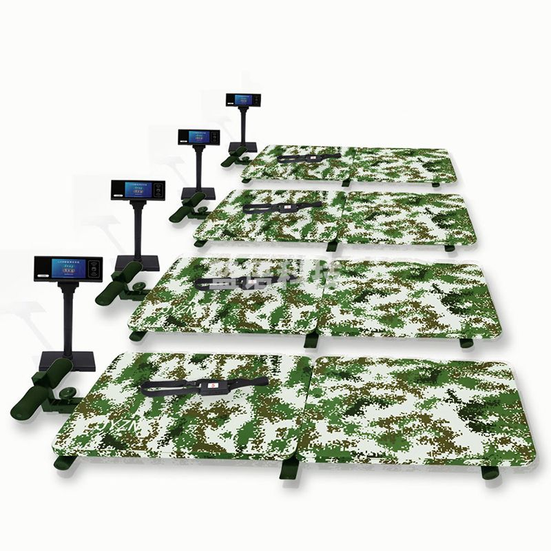 LJYZN 6000201  仰卧起坐俯卧撑测试仪 计数器