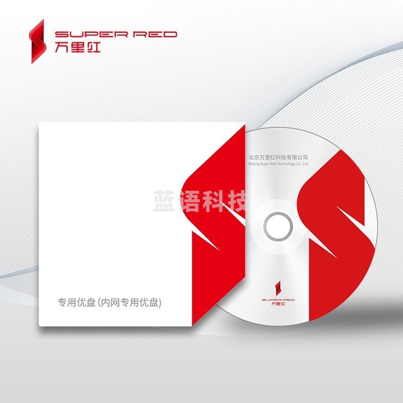 万里红/wanlihong  专用优盘V1.0  网络安全 安全用仪器