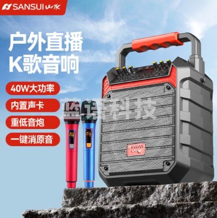 山水（SANSUI）D35广场舞音响户外K歌直播带声卡超重低音炮大音量手提便携式蓝牙音箱小型播放器大功率带双话筒