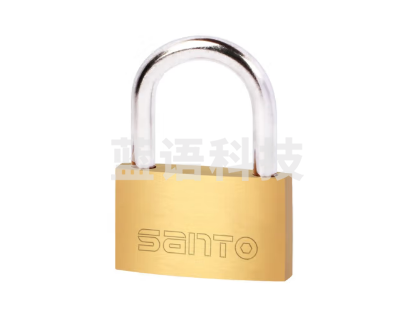 赛拓（SANTO) 铜挂锁小锁头 宿舍家用门锁 防锈防水锁 水电表箱锁 柜子锁箱包锁抽屉锁 30mm 0053