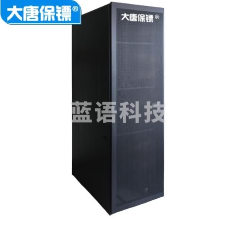 大唐保镖 A8 6042 42U 服务器机柜 2米 高2000mm*宽600mm*深1000mm 板材1.5MM厚 标准19英寸机柜 豪华版