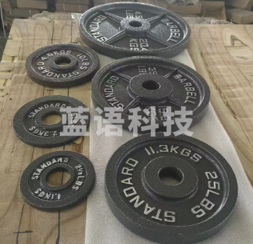 家用家庭健身肌肉塑形大孔杠铃片2.5kg 灰色