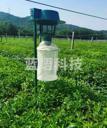 俊采云 NM50 天敌友好型诱捕器 性诱电击一体杀虫灯茶园果园水稻杀虫茶树果树水稻害虫专杀 （单位：件）