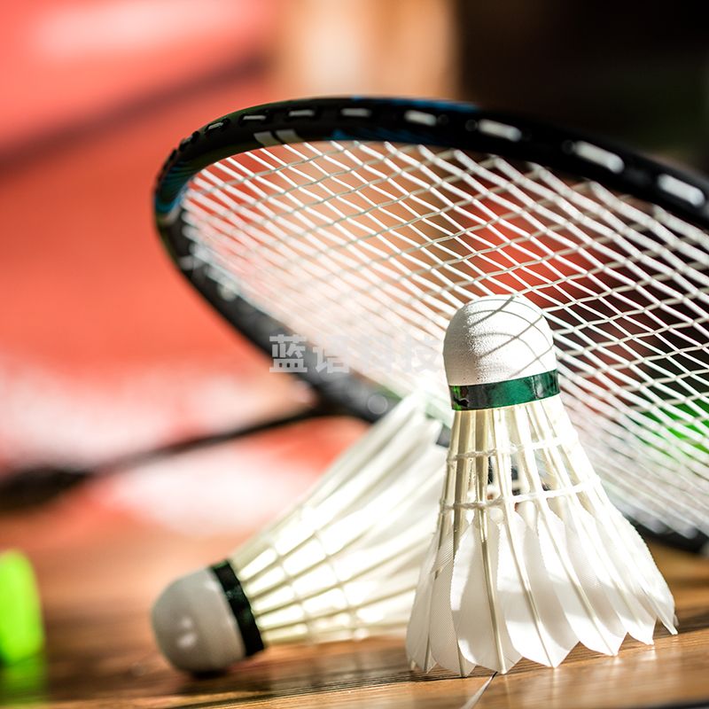 安格耐特（Agnite）F2203羽毛球(白色)(12个/筒)