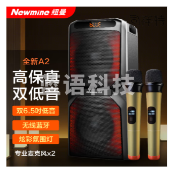 纽曼(Newmine)A2蓝牙音箱 6.5英寸喇叭低音炮 乐器音响 双话筒麦克风