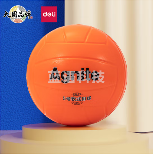 得力安格耐特FD300_5号软式排球(橙)(个)